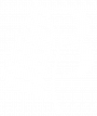 black-palm-symbol-blanc black-palm-symbol-blanc